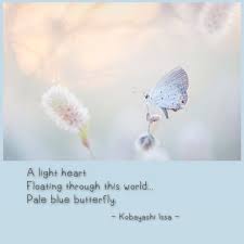 Dreamland Haiku Poetry Haiku Very Short Poems
