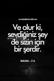 Ayet Corek Otu Yagi Com Ve Olur Ki Sevdiginiz Sey De Sizin Icin Bir Serdir Bakara Suresi 216 Ilham Verici Sozler Guzel Soz