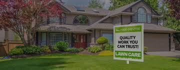 Searching for a lawn guy in stafford is a pain. Stafford Best Lawn Care Services