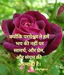 Pin By Rita Rathod On Hindi Gujarati Beautiful Flowers Hybrid Tea Roses Rose Flower