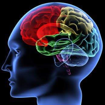Biopsychology