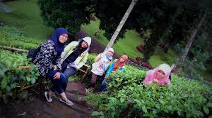 Mirip dengan memorial holocaust ternyata deretan tempat wisata di dunia ini juga melarang wisatawan untuk mengambil gambar sembarangan lho, travelers. Serah Kencong Antara Kebun Teh Atau Air Terjun Ndeso Traveller