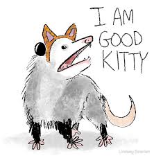 Pin By Sabella Kresge On Memes In 2020 Cute Drawings Art Animal Drawings