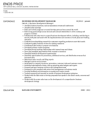 Business Development Manager Resume Sample Velvet Jobs