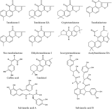 Treatment of breast cancer often consists of a combination of surgical removal, radiation therapy and endocrine therapies can cause symptoms of menopause but are generally well tolerated. Frontiers Chinese Medicines Improve Perimenopausal Symptoms Induced By Surgery Chemoradiotherapy Or Endocrine Treatment For Breast Cancer Pharmacology