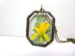 Daffodil Necklace March Birthday Real Daffodil Flower Etsy Daffodil Flower Pressed Flower Necklace Pressed Flowers