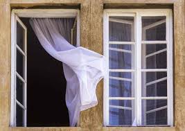 Perhaps because they are so very ancient, they never actually die but, rather, lay dormant until the right conditions present themselves. How To Get Rid Of Mold Spores In The Air In Your Lungs Solved
