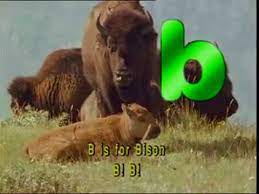 Get ready for the brand new song, it is called clumpton's animal alphabet song!artworks from the octo guard and knotty and polimer created . Animal Alphabet Abc Youtube