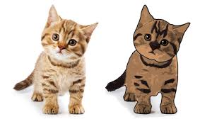 Cartoon Effect On Cat Portrait Filter Effect On Cat Portrait Photoshop Tutorial Youtube