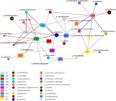 Farmacia catena, concurs, bai, 20. Low Pyrolysis Temperature Biochar Promoted Free Living N2 Fixation In Calcareous Purple Soil By Affecting Diazotrophic Composition Sciencedirect