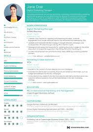 Extensive Resume Guide Examples Best Resume Format Marketing Resume Best Resume Template
