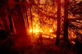 2 days ago · western wildfires spreading smoke as far as canada and new york. Fact Check Canada And Mexico Are Fighting Wildfires Too