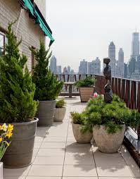 Vente arbustes pour terrain sec : Quelles Plantes Pour Des Pots D Exterieur Xxl