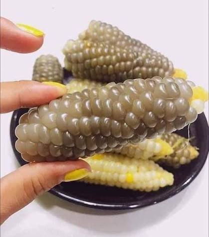 Điện Biên mini sticky corn