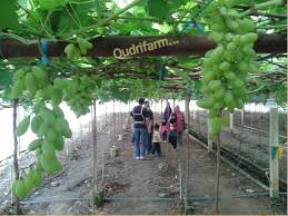 It was formed as a result of the construction of beris dam. Facebook