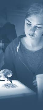 UMF AR 2016_text pages.indd