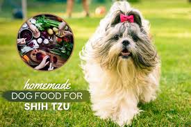 The american animal hospital association (aaha) guidelines say the type of food fed to a dog with diabetes is much less important than the consistency of the diet. Homemade Dog Food For Shih Tzu Best Recipes Tips More Canine Bible