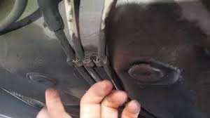 Maybe it went missing on your vehicle? 2004 Jetta 2 0 Fuel Filter Part 1 Youtube