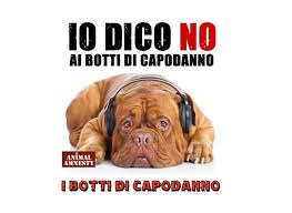 Gli animali di casa spesso terrorizzati dai botti, col rischio di farsi male nella ricerca di un luogo protetto e, nei casi più gravi, possono addirittura riteniamo importante sensibilizzare i cittadini su questo argomento, dire no ai botti vuol dire rispettare chi ci circonda compresi i nostri amici animali con il. Capodanno 2020 Animali Cani