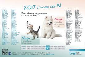 4 encore plus d'idées de noms débutant par p. La Lettre De L Annee Dr Morgane Collin