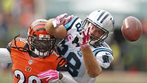 Reggie Nelson photo 5