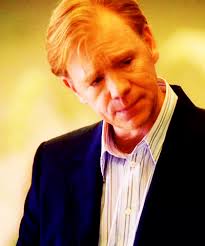 During england's period he wrote dozens of plays which continue to dominate world theater 400 years later. Horatio Lt Horatio Caine Fan Art 41260128 Fanpop