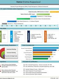 Vamsi Krishna Pictocv Infographic Infographic Resume Graphic Resume Visual Resume