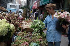 Burgoon in the late 1970s and continued through the 1980s and 1990s as nonverbal expectancy violations theory, based on burgoon's research studying proxemics. Episode 423 Taylor Patterson Of New York Based Fox Fodder Farm Plus Our State Focus Rhode Island Debra Prinzing