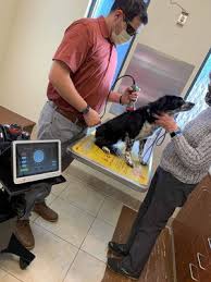 7505 lima rd fort wayne, in 46818. Fort Wayne Pet Hospital 7505 Lima Rd Fort Wayne In Veterinarians Mapquest