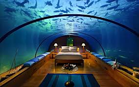 Posted by jyden — december 27, 2018 in bedrooms — leave a reply. Wallpaper Home Living Photo Picture Bedroom Aquarium Water Fish