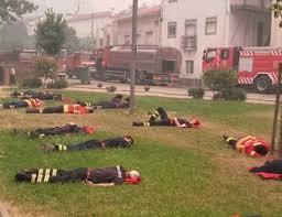 Jun 28, 2021 · effect. Foto De Incendio Em Portugal Viraliza E Emociona O Mundo Folha Pe