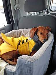 travel bed that s safe for your dog in the car ammo the dachshund http www relaxeddogs com product categor krovati dlya sobak sobaka taksa odezhda dlya sobak