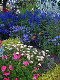 Garden Of Blue White And Pink Flowers Flower Garden Plans Pink Flowers Flower Garden
