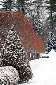 The Mount Lenox Ma David Fuller Winter Garden Winter Plants Winter Landscape