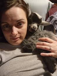 Goats are a great way to calm things down