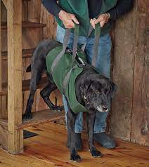 Dog Sling Lift In 2021 Dog Sling Dog Ramp Dog Training