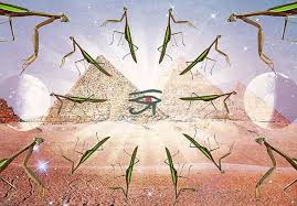 This means that praying in the spirit is indeed glossolalia, which in turn is the intercession of the spirit on the disciple's behalf to god in a language understood by god. Seeing A Praying Mantis What Is The Spiritual Significance