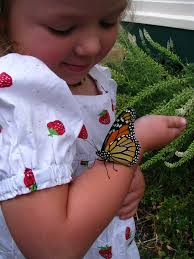 Heart Felt: A precious string