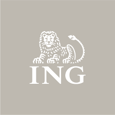 Using icomoon you can easily search and download vector icons or generate fonts (icon fonts). Ing Bank Icon In 2021 Apps