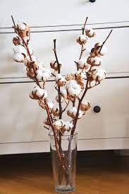 Tall dresser white & natural branch ball stems. 2 X Dried Cotton Stems 2 Cotton Branches Cotton Ball Etsy Cotton Branches Dried Cotton Natural Wedding Decor