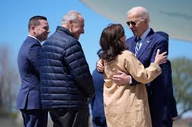 Image result for Bidens schimperi