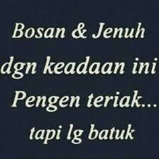  60 Ide Kata Lucu Lucu Kata Kata Meme