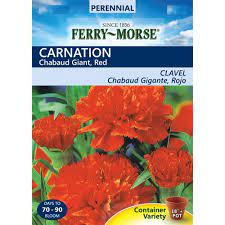 Ferry Morse Carnation Chabaud Giant Red Seed 4172 The Home Depot Carnations Red Carnation Hardy Perennials