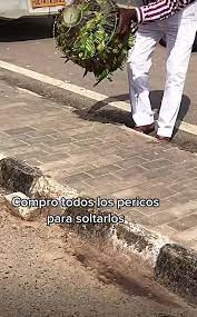 Descubre los videos populares de hombre que compra todos los pericos para liberarlos en la calle | TikTok