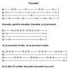 Sites with paid fingerstyle ukulele tabs. 1