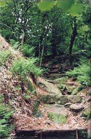 Hockendes Weib Dorenther Klippen Ibbenburen Http Www Reisebuero Billiger De Klippen Teutoburger Wald Ibbenburen
