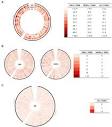 Frontiers | Influence of genomic variations on glanders ...