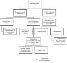 Recommendations Of Diagnosis And Treatment Of Pleural