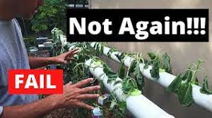 Here, a look back at some of our favorite stars from decades past that have all but fallen off the grid. Nft Failure Not Again Diy Hydroponics Youtube