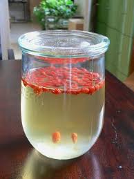 Pin Von Naimid Alarcon Narvaez Auf Essen Trinken Wasserkefir Kefir Goji Beeren